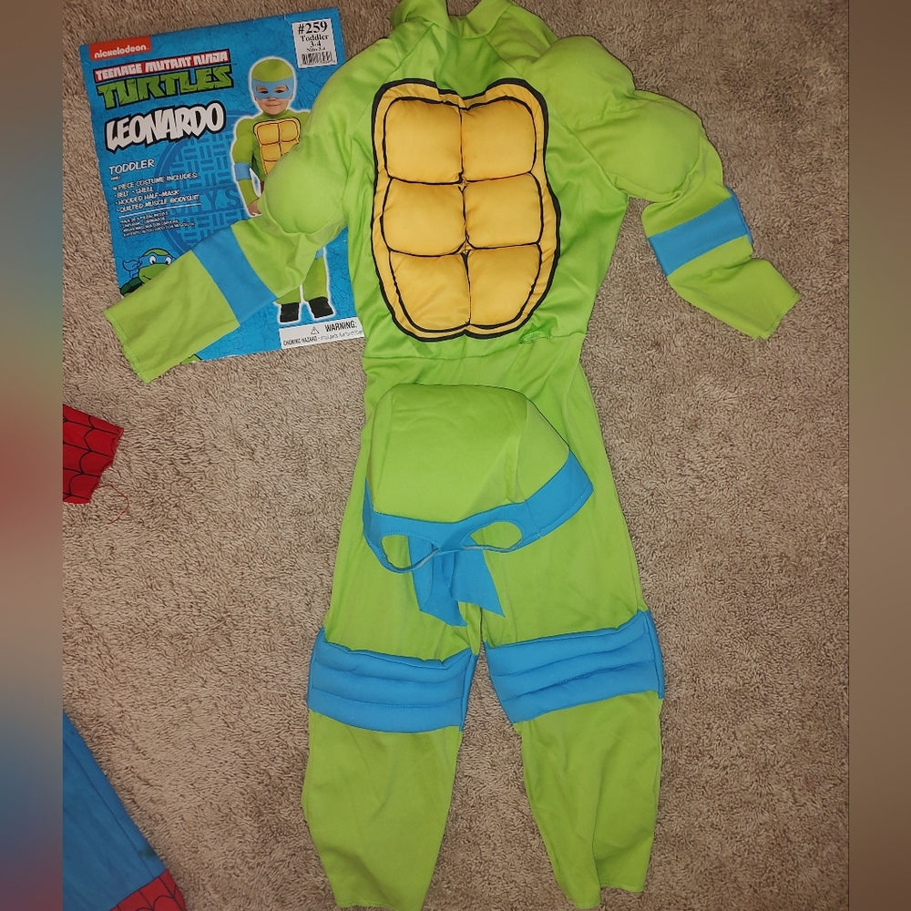 Nickelodeon Ninja Turtle Costume - Green and Blue